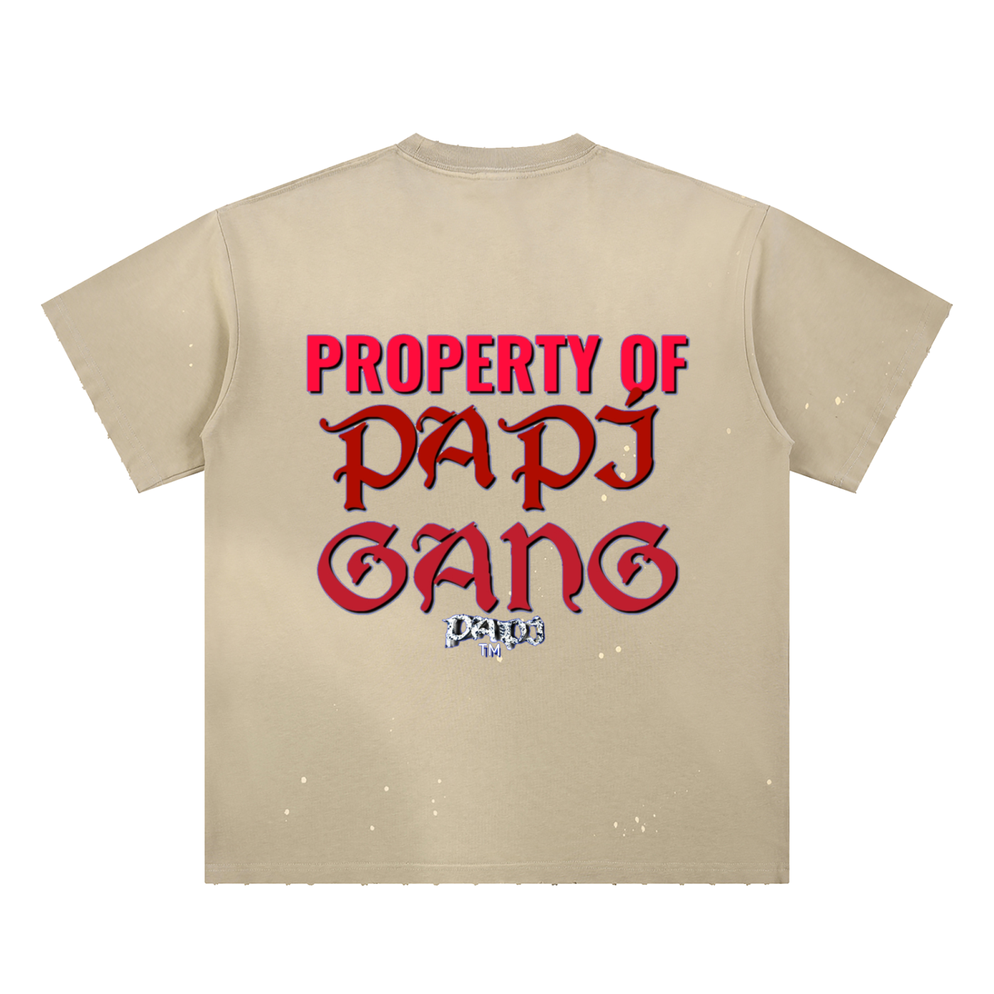 Hand-Frayed Sunfade Paint Splatter T-Shirt